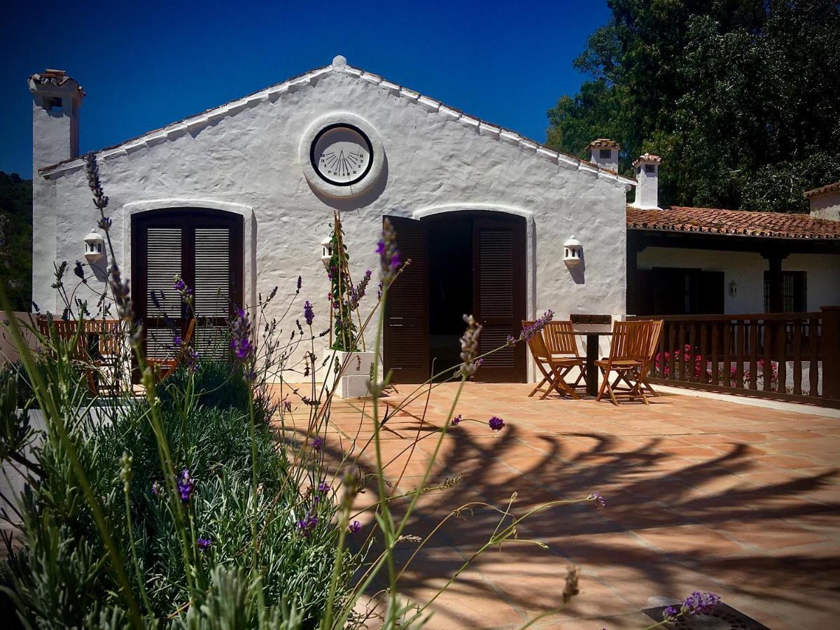 El Molino Estepona Buitenkant foto