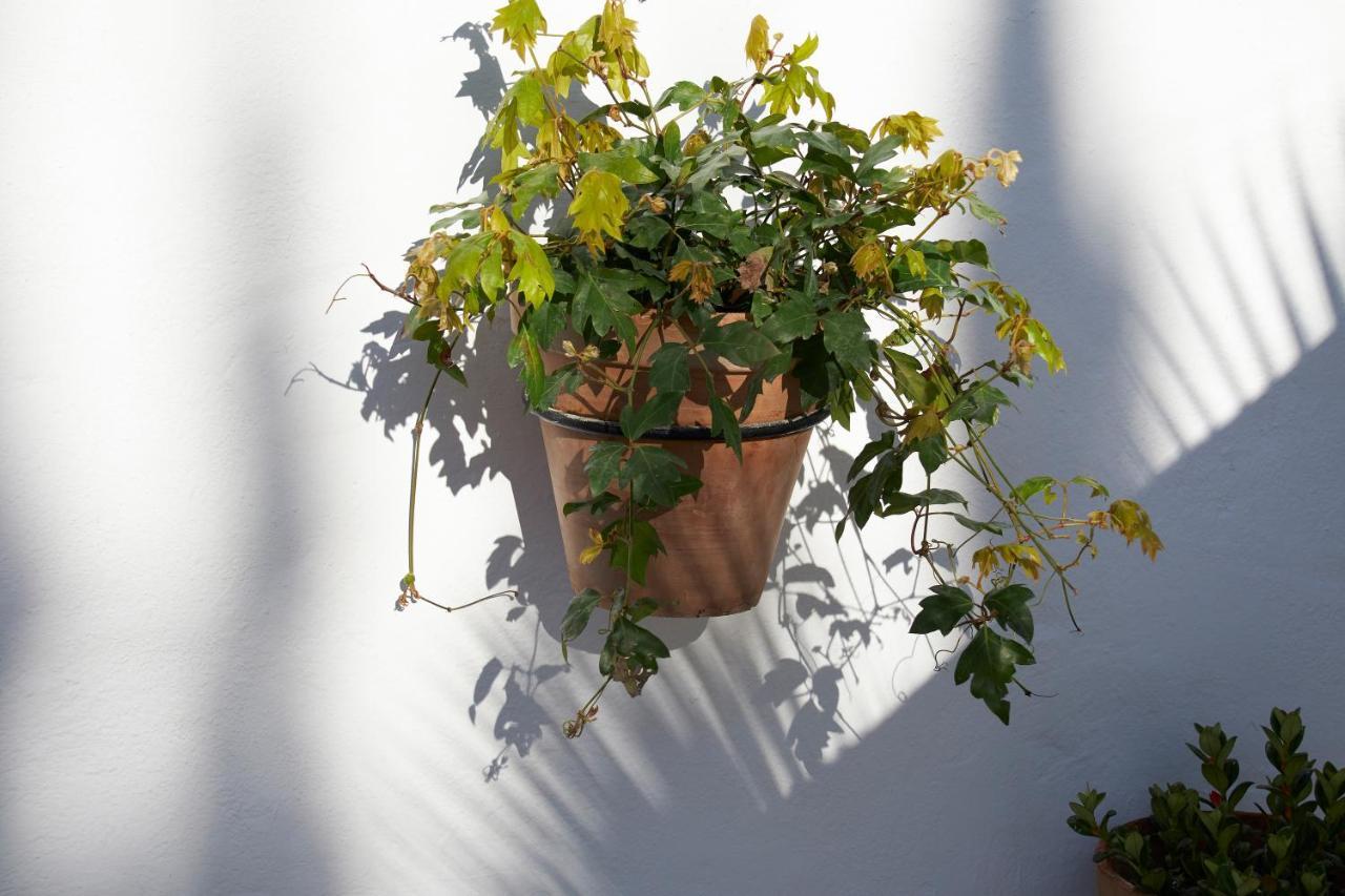 El Molino Estepona Buitenkant foto